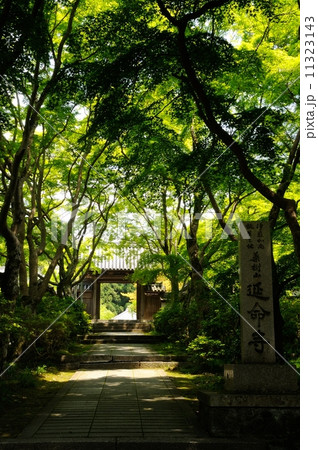 延命寺山門 11323143