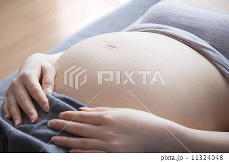 妊婦のお腹 11324048