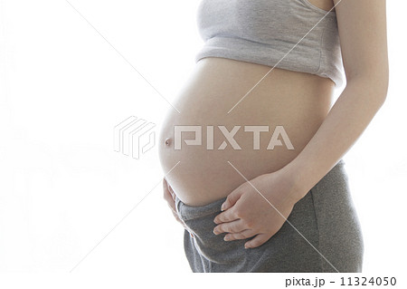妊婦のお腹 妊婦のお腹 11324050