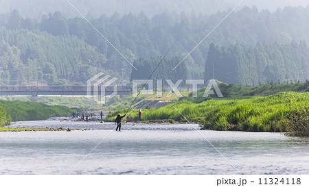 鮎友釣り風景 11324118