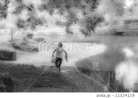 夏の少年時代 夏の少年時代 11324119