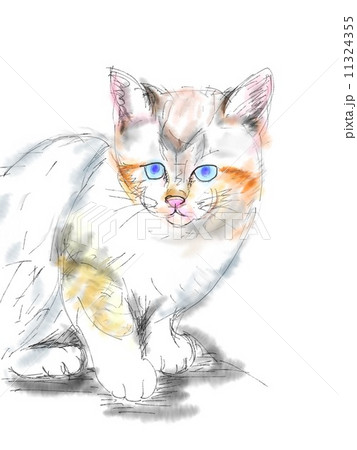 猫のイラスト 猫のイラスト 11324355