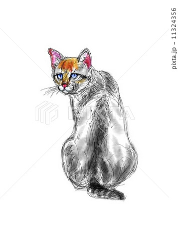 猫のイラスト 猫のイラスト 11324356