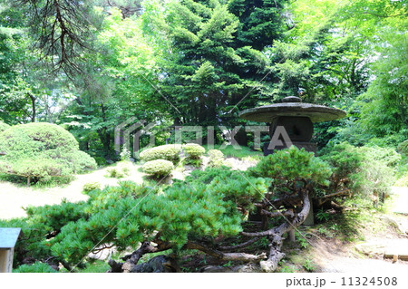 会津松平氏庭園　御薬園　石灯籠 11324508