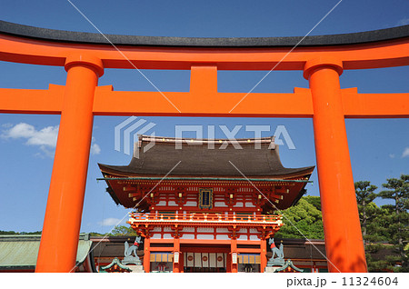 京都 伏見稲荷大社 京都 伏見稲荷大社 11324604
