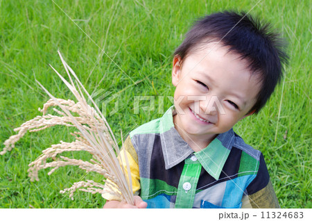 稲穂を持つ笑顔の子ども 11324683