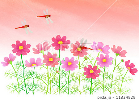 夕焼けと赤とんぼ 夕焼けと赤とんぼ 11324929