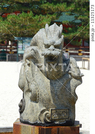 平安神宮･境内の「蒼龍」（京都市左京区岡崎西天王町／京都府） 11325173