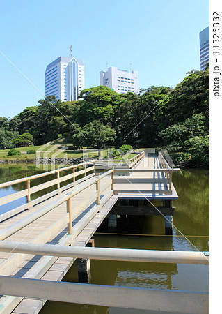 浜離宮恩賜庭園 11325332