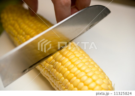 トウモロコシを切る 11325824