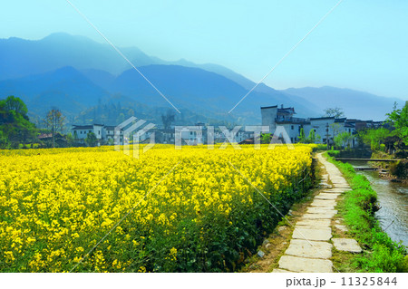 Rural landscape in wuyuan county, jiangxi province, china. 11325844
