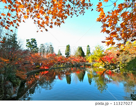 永観堂 紅葉を映す放生池 永観堂 紅葉を映す放生池 11327027