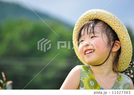 夏の日 11327363