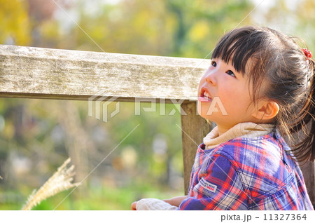 秋の気配 11327364