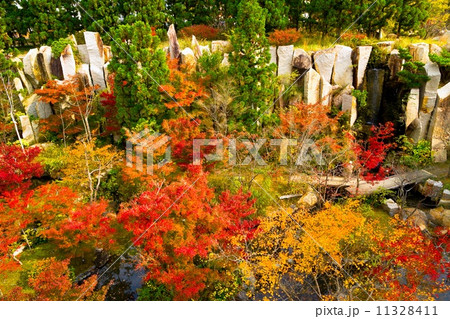 けいはんな記念公園　紅葉谷 11328411