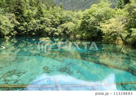 世界遺産・九寨溝 五花海 世界遺産・九寨溝 五花海 11328683