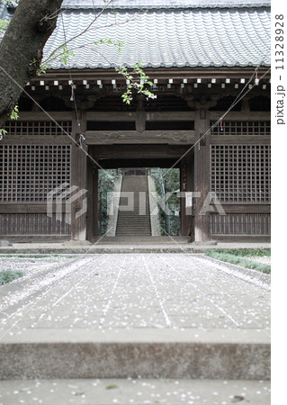 武蔵国分寺 武蔵国分寺 11328928
