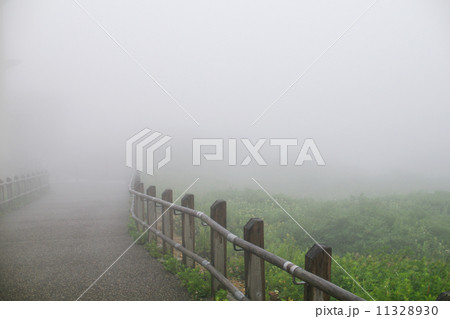 霧 11328930