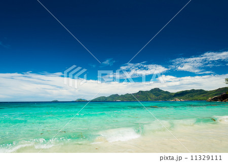 tropical beach 11329111