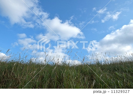 高原の秋空 高原の秋空 11329327