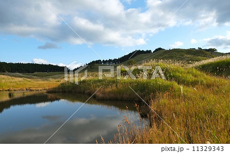 高原の水辺 高原の水辺 11329343