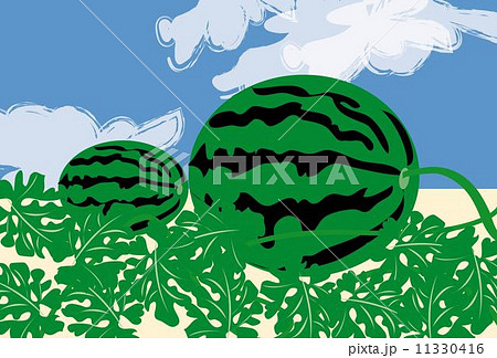スイカ畑と夏の青空のイラスト素材