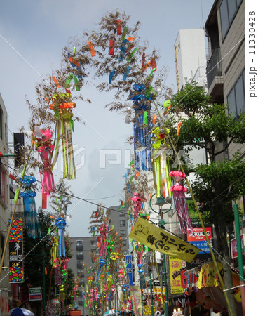 平塚　七夕 11330428
