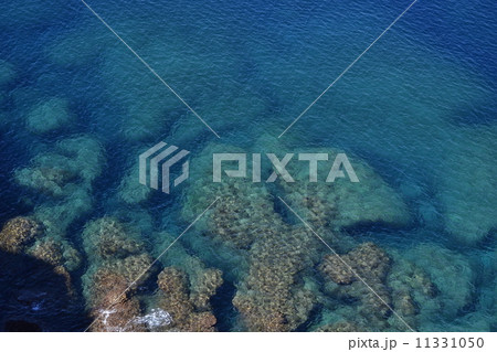沖永良部島　田皆岬 11331050