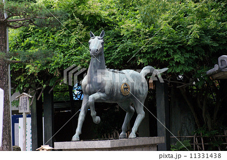 藤森神社競馬の神様 11331438