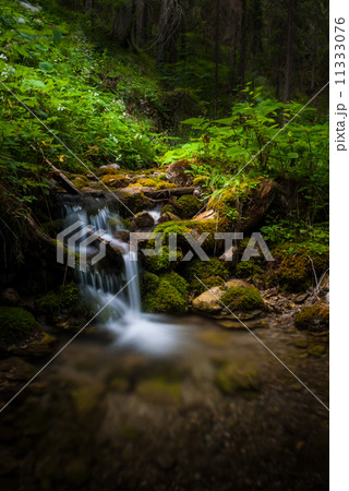 little waterfall 11333076