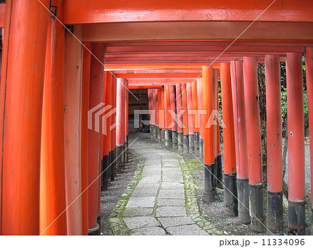 権九郎稲荷の鳥居 11334096