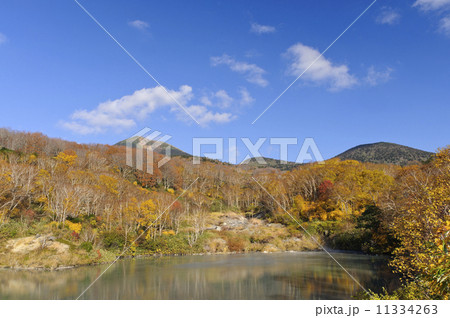 八甲田の紅葉　地獄沼 11334263