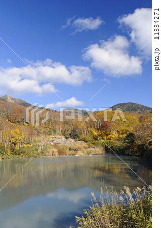 八甲田の紅葉　地獄沼 11334271