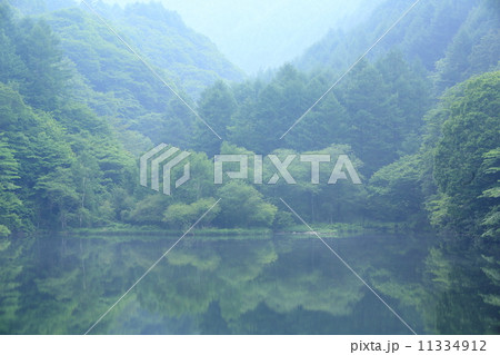 霧と新緑に囲まれた竜ヶ沢ダム 11334912