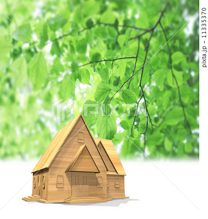 木漏れ日の木造の一戸建て住宅 11335370