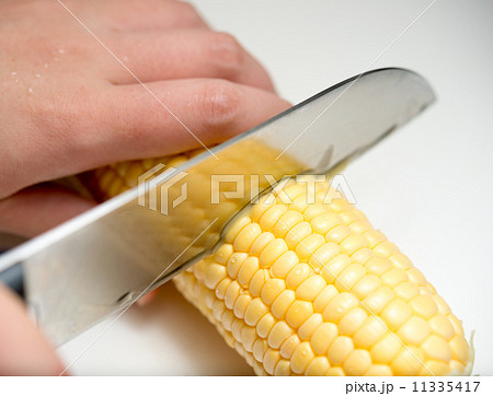玉蜀黍を切る 11335417