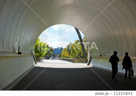 トンネルから見える美術館 トンネルから見える美術館 11335843