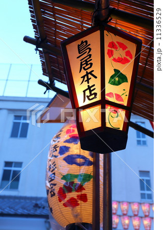 入谷朝顔まつりの提灯 11336529