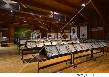 オオムラサキセンター 長坂 オオムラサキセンター 長坂 11336585