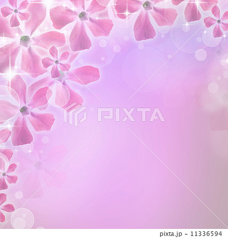 Spring background with periwinkle flower 11336594