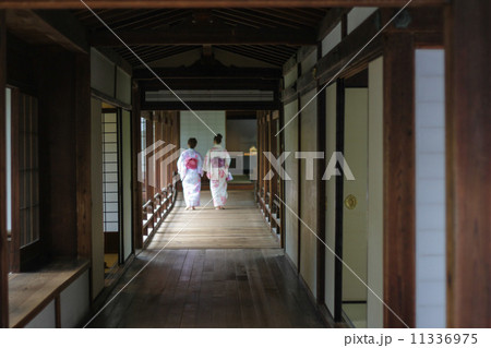 京都１７ 11336975