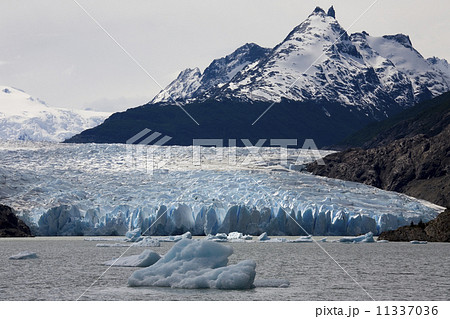 Grey Glacier - Torres del Paine National Park - Chile 11337036