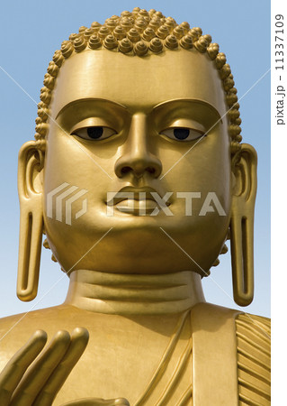 Giant Buddha Statue at Dambulla - Sri Lanka 11337109