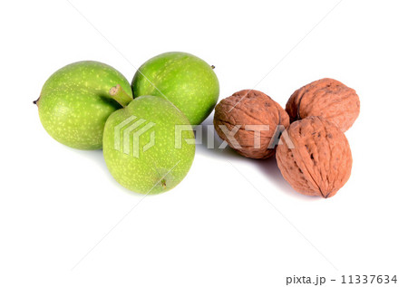green walnuts green walnuts 11337634