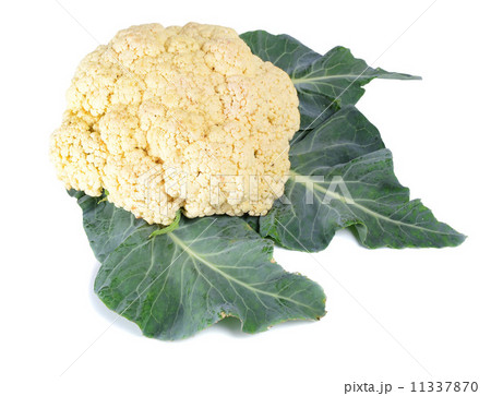 cauliflower cauliflower 11337870