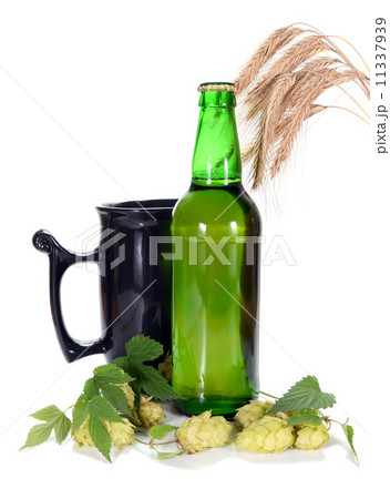 beer and hop beer and hop 11337939