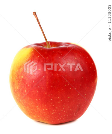 apple 11338005