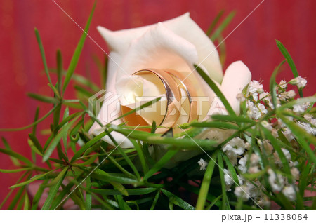 wedding rings and rose wedding rings and rose 11338084