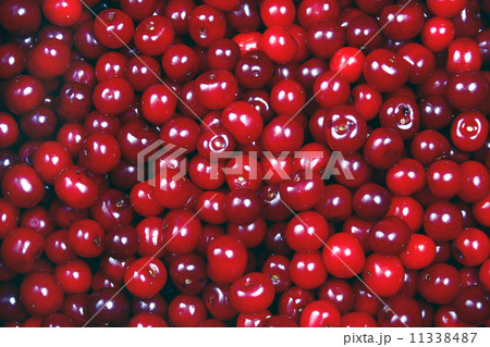 cherry background 11338487