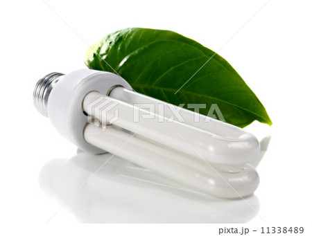 lightbulb and green leaf lightbulb and green leaf 11338489